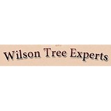 Wilson Tree Experts - Tree Services in Columbia