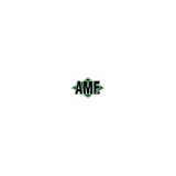 Ame Inc - Other in Rock Hill