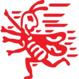 Hired Killers Pest Control - Pest Control in Spartanburg