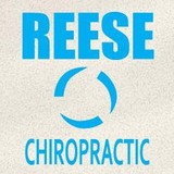 Reese Chiropractic Inc - Chiropractors in Mount Pleasant