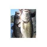 Quality Lakes Inc - Other in Bluffton