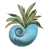 Kiawah Bohicket Real Estate - Other in Johns Island