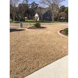 Cactus Sands Nursery Garden - Other in North Myrtle Beach