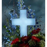Albertson Floral - Wholesale in Greenville