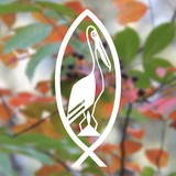 Barrier Island Environmental Program At St Christopher - Other in Johns Island