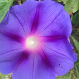 R E A L Counseling LLC - Other in Myrtle Beach