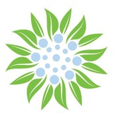 Charleston Allergy - Medical Centers in Charleston