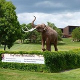 Mammoth Site - Other in Hot Springs