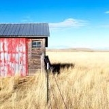 South Dakota Farm Bureau - Other in Huron