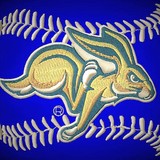 Sdsu Athletics - Other in Brookings