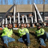 Matt's Tree Service - Tree Services in Stratford