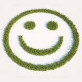Madison Lawn Care Inc - Lawn Services in Madison