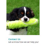 Creature Comforts Pet Retreat - Pet Stores in Livingston