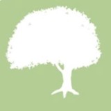 MorGreen Nursery and Landscape - Landscaping in Collierville