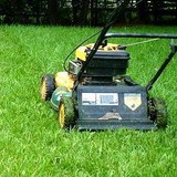 Affordable Lawn Care - Landscaping in Sevierville