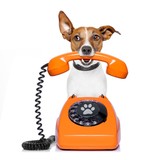 Carr's Rug Cleaning - Carpet Cleaning in Knoxville