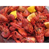 Blue Orleans Creole Restaurant - Restaurants in Chattanooga