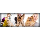 Highland Veterinary Clinic - Veterinarians/Vets in Crossville