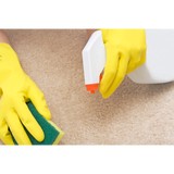 Complete Carpet Care - Carpet Cleaning in Harrison