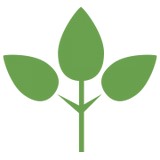 Greenscape - Landscape Architects in Memphis
