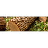 Aaron s Tree Service - Tree Services in Millington