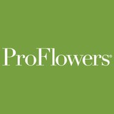 Proflowers.com - Florists in Memphis