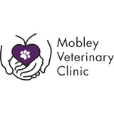Mobley Summerfield DVM - Veterinarians/Vets in Nashville