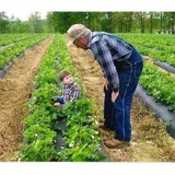 Ralph Cook - Food & Related Products in Portland