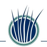 Blue Grass Endodontics Pllc - Child Care & Day Care in Hendersonville