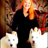 Animal World - Publishing in Memphis