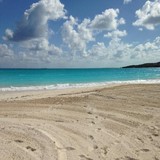 Travel Agency - Travel Agents in Arlington