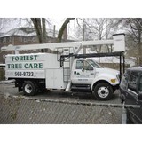 Foriest Tree Care - Lawn Services in Franklin