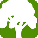 Creative Tree & Stump Service - Tree Services in Antioch