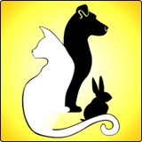 Bowers Ashley DVM - Veterinarians/Vets in Winchester