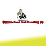 Cumberland Bonding CO - Bail Bondsmen in Dayton