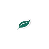 Leaf Guard Gutters - Gutter Services in Chattanooga