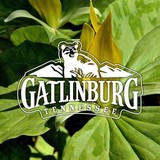 Gatlinburg - Hotels in Gatlinburg