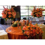 Party Connections - Party Supplies in Memphis