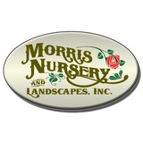 Morris Nursery & Landscapes - Landscaping in Jackson