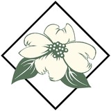 Dogwood Dental Care - Dentists in Athens