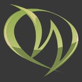 Witkowski Sr Charles E DDS - Dentists in Johnson City