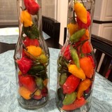 Datil Sensation - Other in Blountville