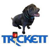 Trickett Automotive Company - Car Dealers in Madisonville