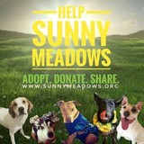 Sunny Meadows Safe Haven-Pets - Animal Shelters in Memphis