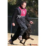 Alpha K9 Mobile Training - Pet/Animal Training in Nashville