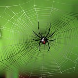 Gpm Pest Control - Pest Control in Chattanooga