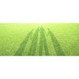 Grassland Lawn Care Inc - Lawn Services in Franklin