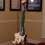Pearce David A DC - Chiropractors in Murfreesboro