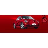 Lady Bug Exterminating CO Inc - Pest Control in Chattanooga