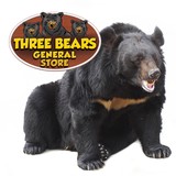 Three Bears General Store - Other in Pigeon Forge